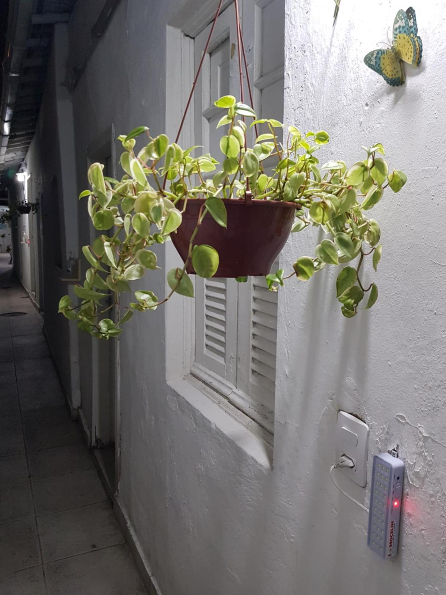 Botafogo Habitación en casa particular Río de Janeiro