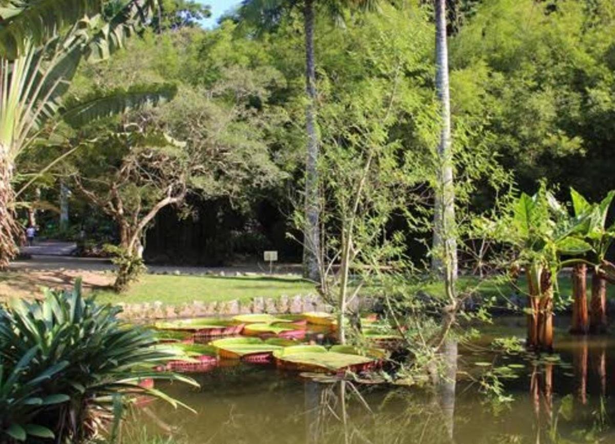 Habitación en casa particular Botafogo Río de Janeiro